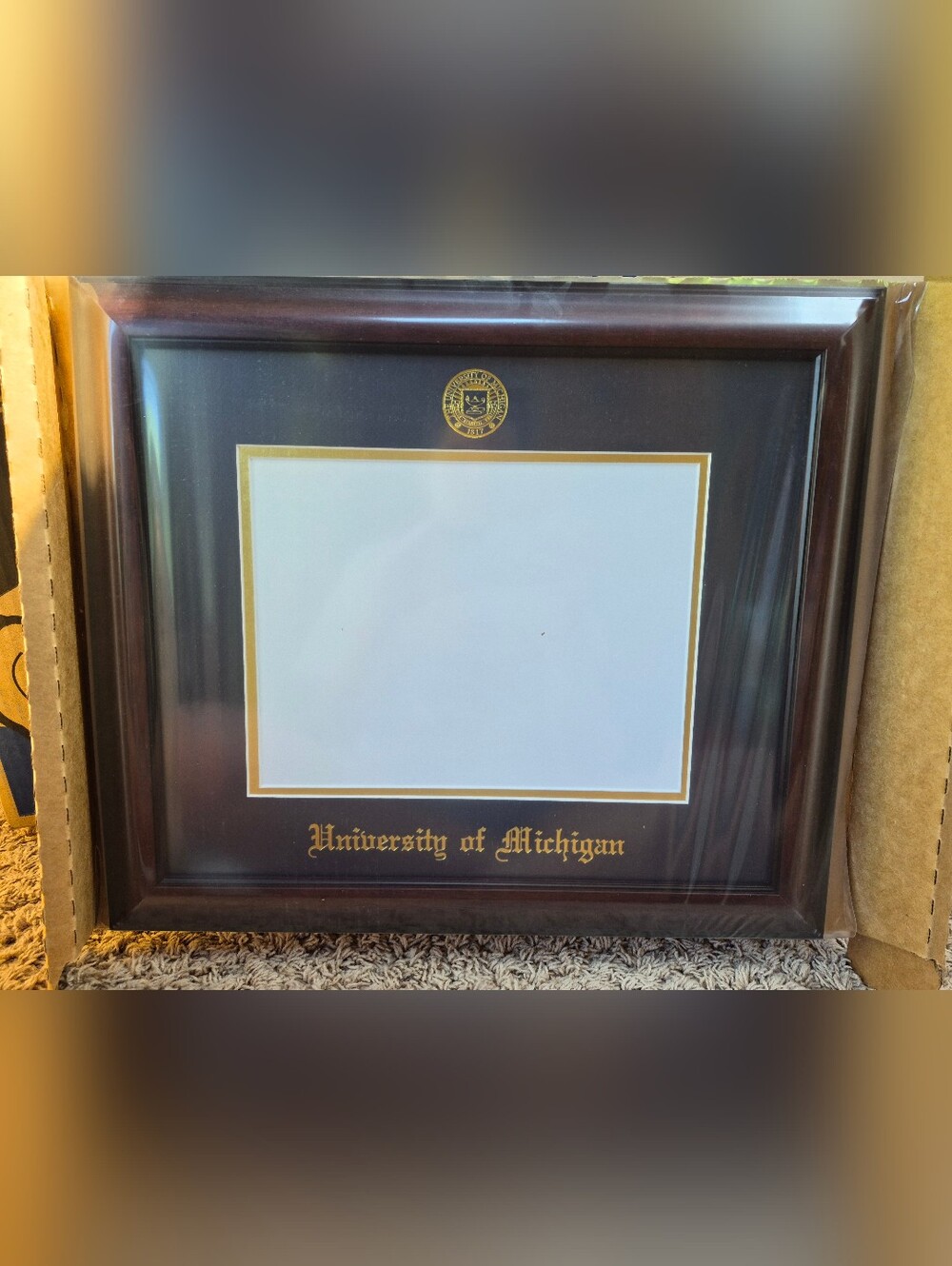 NEW University of Michigan Diploma Frame in Dark Wood with Gold Trim